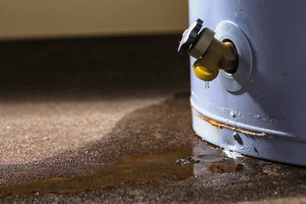 Best Water damage restoration near me  in Coal Grove, OH