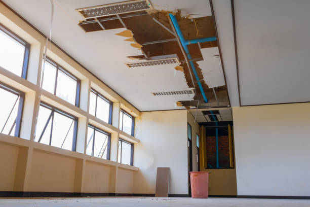 Best Water damage restoration near me  in Coal Grove, OH
