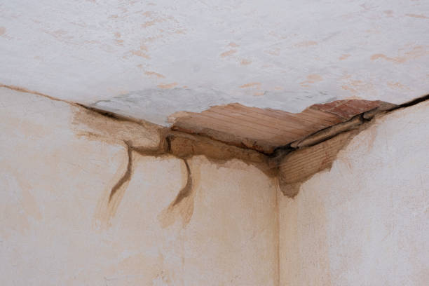 Best Water damage contractors near me  in Coal Grove, OH
