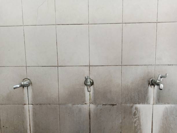 Best Flooded house restoration  in Coal Grove, OH