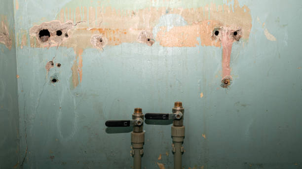 Best Carpet water damage restoration  in Coal Grove, OH