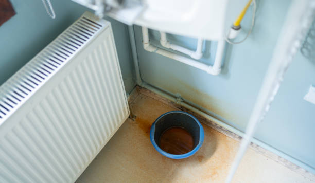Best Ceiling water damage repair  in Coal Grove, OH