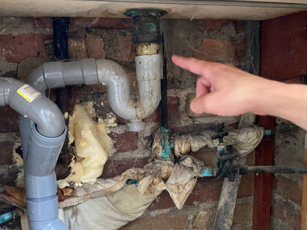 Best Professional water damage repair  in Coal Grove, OH