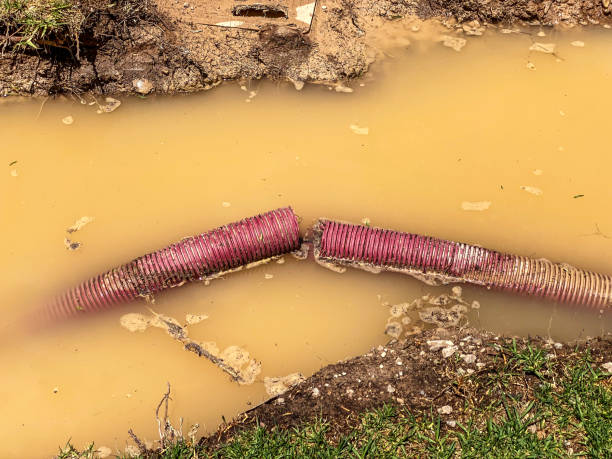 Best Water damage repair service  in Coal Grove, OH