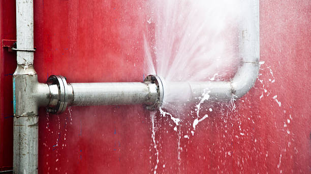 Best Local water damage restoration  in Coal Grove, OH